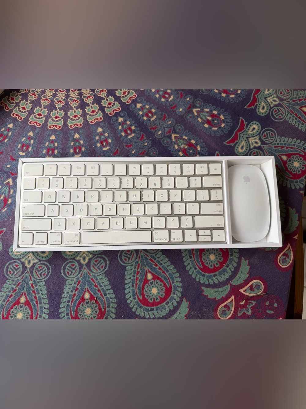 Apple keyboard and Magic Mouse.